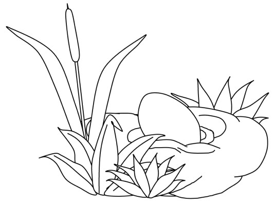 Ugly Duckling coloring page