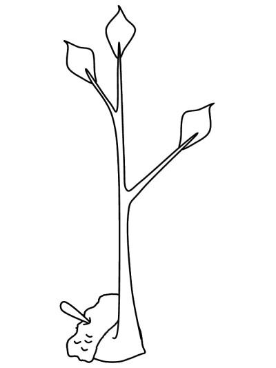 young oak tree coloring page