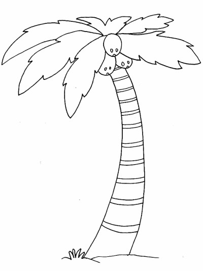 palm tree coloring page